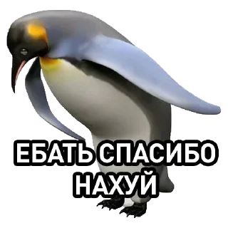 😌 emoji 🐀 — @stckrRobot Telegram sticker 15 of 69