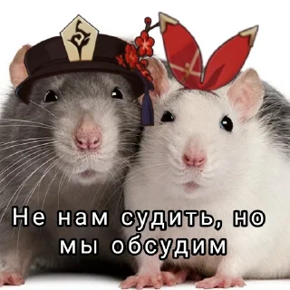 Sticker from ➤Малые грызуны🐁