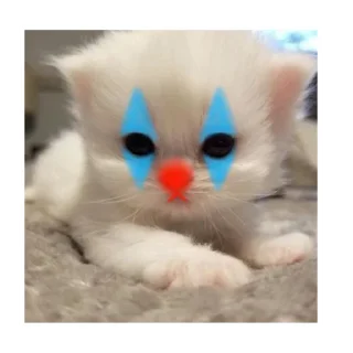 🤡 emoji Муд Telegram sticker 11 of 42