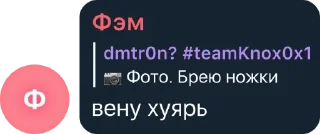 🌟 emoji fastbooter.team #FREEDUROV pack by @QuotLyBot Telegram sticker 23 of 120