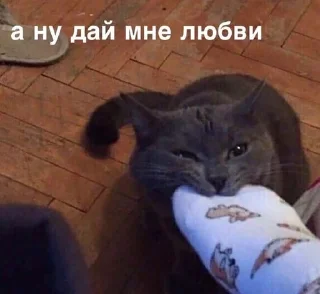 ❤️ emoji Впервые т34 видят Telegram sticker 13 of 120