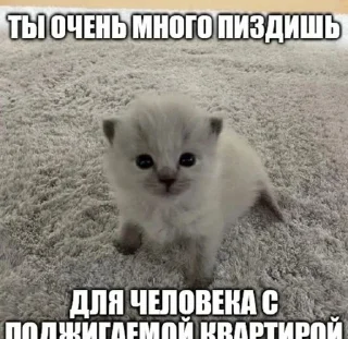 🏠 emoji Впервые т34 видят Telegram sticker 7 of 120
