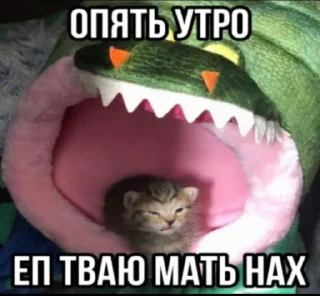 🌅 emoji Впервые т34 видят Telegram sticker 5 of 120