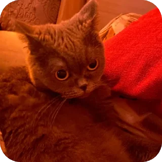🫥 emoji пак для богинесс Telegram sticker 13 of 115