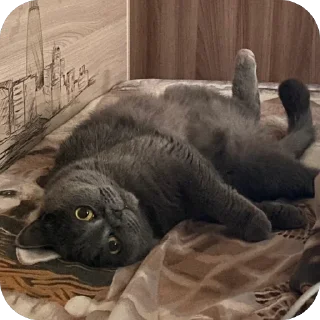 🫥 emoji пак для богинесс Telegram sticker 14 of 115