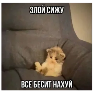😡 emoji Негрики Telegram sticker 8 of 29