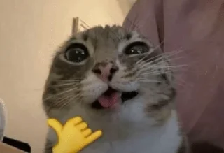 🤙 emoji worried Telegram sticker 21 of 118