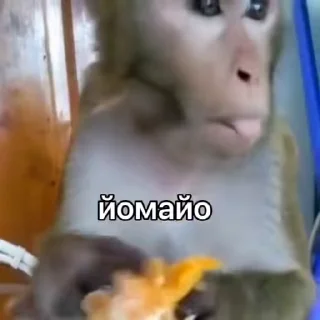 🍊 emoji Скуби-Ду Telegram sticker 17 of 49