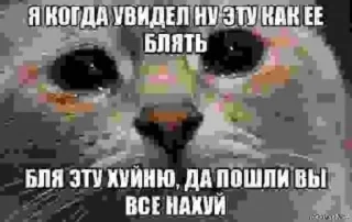 🥺 emoji Скуби-Ду Telegram sticker 21 of 49