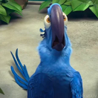 🦜 emoji Rio 🦜 @xkysluv Telegram sticker 9 of 46