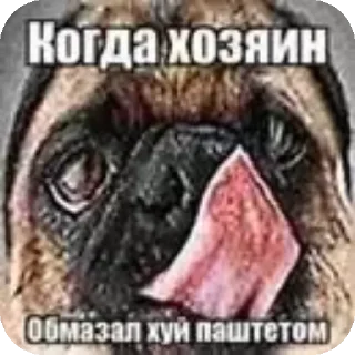 👍 emoji Ичо Telegram sticker 7 of 106