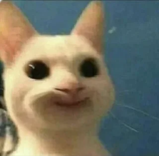 🙂 emoji Мемасики).).) Telegram sticker 22 of 55