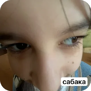 🫥 emoji Аида core: Telegram sticker 12 of 35