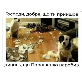 🖼 emoji Думки (не)одного зелебота Telegram sticker 12 of 12