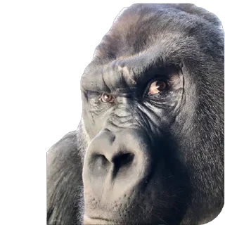 🫥 emoji Пак Владислава П Telegram sticker 12 of 52