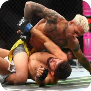 🏅 emoji UFC Memes — @stckrRobot Telegram sticker 13 of 109