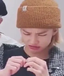 Sticker from skz memes