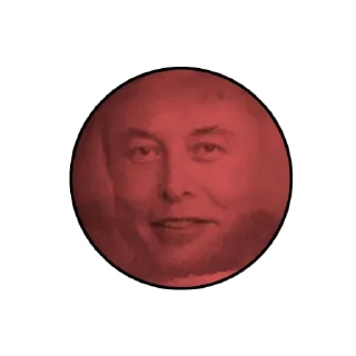 🌚 emoji Илон Головного Мозга Telegram sticker 2 of 14