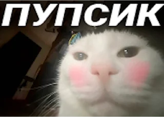 ☺️ emoji разбрызгиваю перец по комнате Telegram sticker 10 of 119