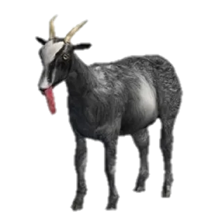 😛 emoji 🐐🐐🐐 Telegram sticker 7 of 36