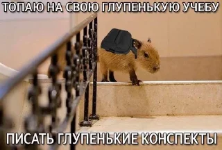 🥰 emoji студенточка, молоденькая Telegram sticker 15 of 26