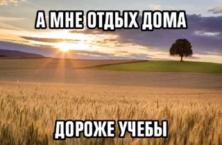 🌟 emoji студенточка, молоденькая Telegram sticker 6 of 26