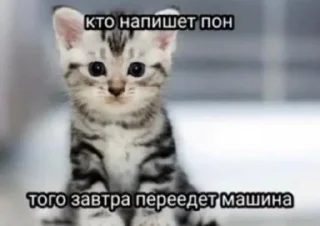 Sticker from Я гей