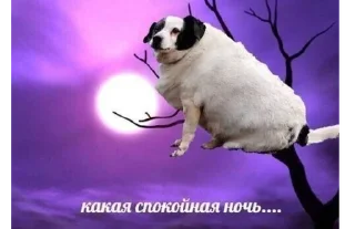 🛌 emoji Стикер пак от @Velgit_woh Telegram sticker 18 of 101
