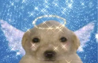 😇 emoji Стикер пак от @Velgit_woh Telegram sticker 10 of 101