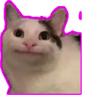 🙃 emoji Beluga🇰🇿🇰🇿🇰🇿😼 Telegram sticker 11 of 35