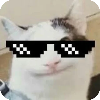👍 emoji Beluga🇰🇿🇰🇿🇰🇿😼 Telegram sticker 21 of 35