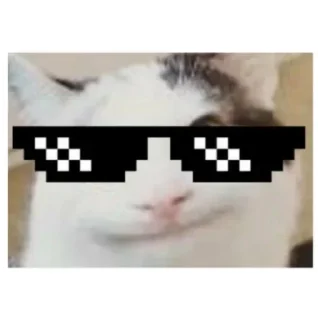 😎 emoji Beluga🇰🇿🇰🇿🇰🇿😼 Telegram sticker 7 of 35