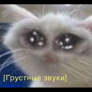 🌟 emoji Смешенный Telegram sticker 5 of 23