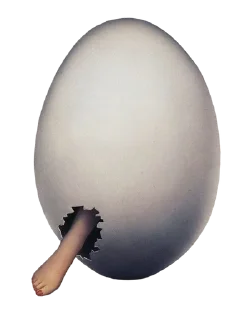 🥚 emoji 2ky-3irds @l_2ky_3irds_l Telegram sticker 12 of 120