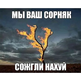 🌳 emoji Дуб Telegram sticker 7 of 7