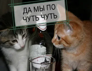 Sticker from Мы
