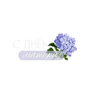 🌟 emoji @pngshi День мамули Telegram sticker 8 of 10