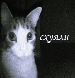Sticker from Картиночки с текстом 2