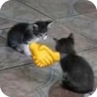 🐱 emoji На все случаи жизни Telegram sticker 6 of 32
