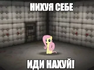 Sticker from на все случаи жизни))