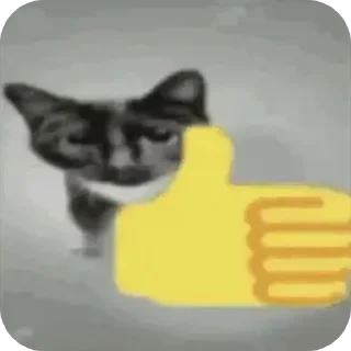 🐱 emoji На все случаи жизни Telegram sticker 7 of 32