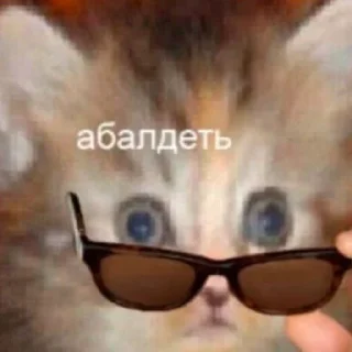 Sticker from Suicide cats