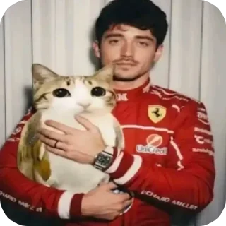 🫥 emoji F1 аутисты Telegram sticker 21 of 21