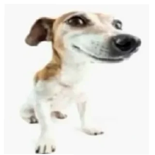 🙂 emoji Бебра Telegram sticker 7 of 20