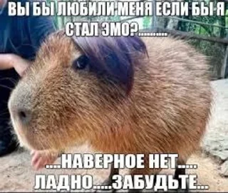 🌟 emoji ебатория Telegram sticker 9 of 16