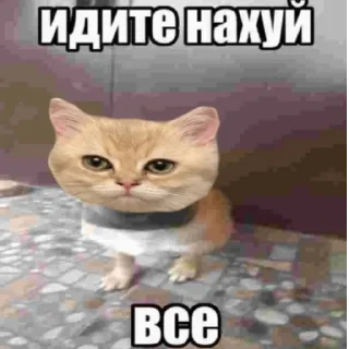 Sticker from Это не лютик...