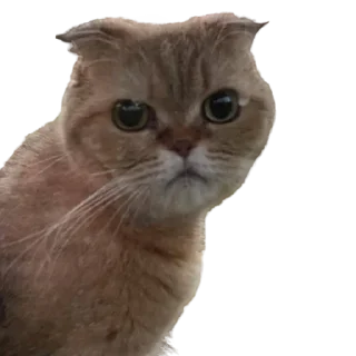 ❔ emoji Вери найс гуд найс Telegram sticker 9 of 47