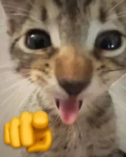 😼 emoji Me. creator @Yui1487 Telegram sticker 5 of 98