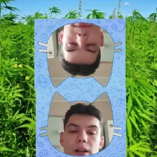 🌱 emoji Разрушенная психика Telegram sticker 12 of 119