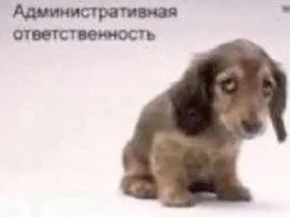 Sticker from 811 роблокс Серафимыч